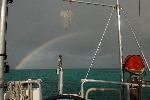 Regenboog