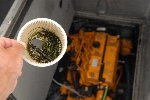wierfilter