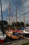 Schorpioen ligt weer in haar box