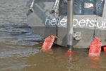 Hagedis aan boord
