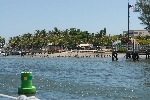 Pelikanen op het strand