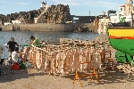 visdrogen, kabeljauw