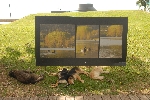 ontspannen kunst