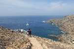Baai