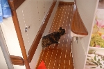 Floris onderzoekt ook ieder hoekje