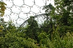 in de kassen