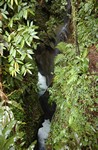 van boven gezien, daar beneden  zwommen we naar de waterval