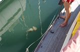 je ziet ook zo veel in het water tijdens schuren